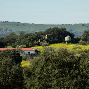 Mirador Turístico de Villalba de los Barros a Salvatierra de los Barros