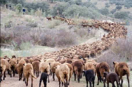 Imagen Trivial La Siberia - 11