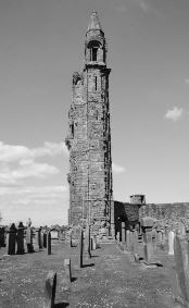 Imagen Trivial La Siberia - 141