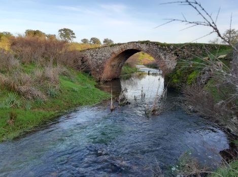 Imagen Trivial La Siberia - 31