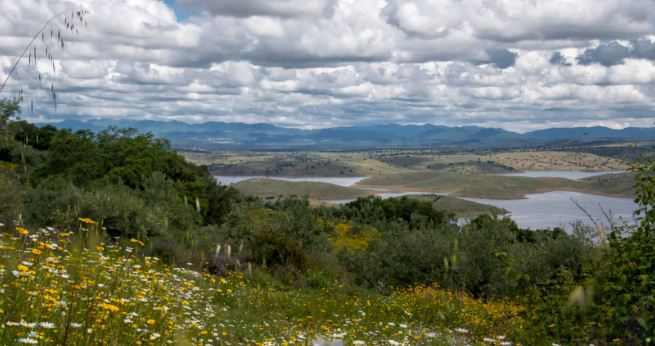 Imagen Trivial La Siberia - 41