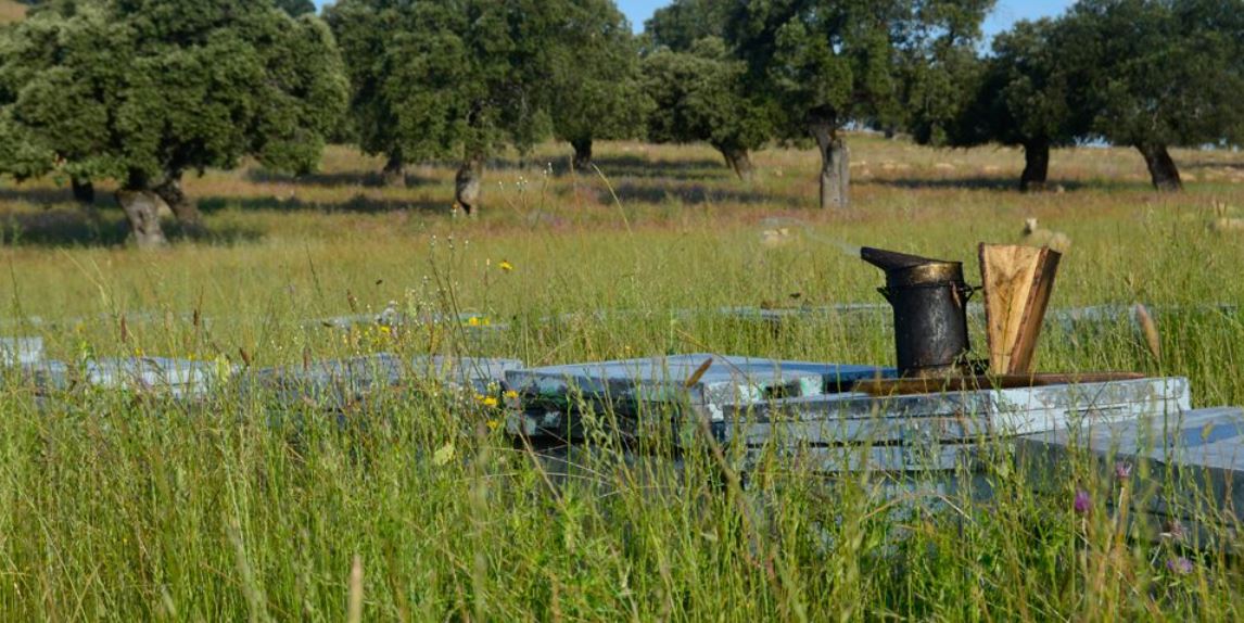 Imagen Trivial La Siberia - 7