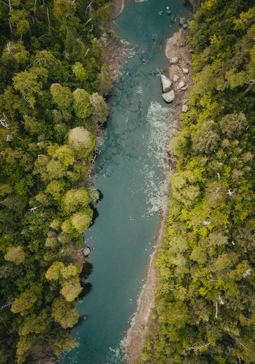 Imagen Trivial La Siberia - 77