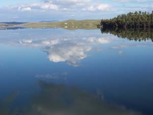 Imagen Trivial La Siberia - 82