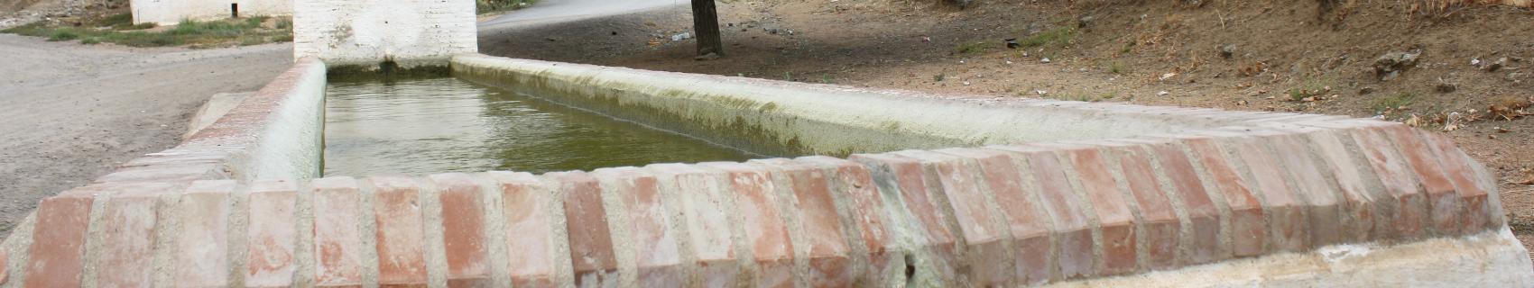 Pilar de los Borrachos o de los Burros