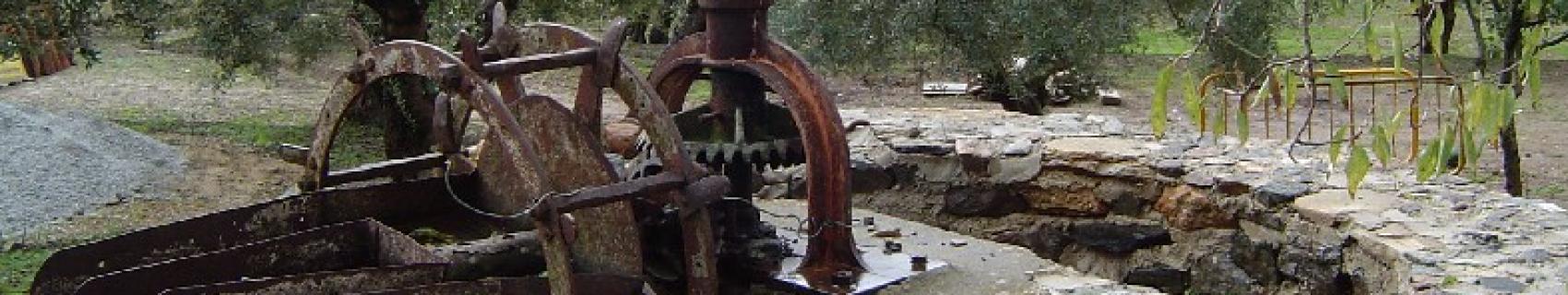 Norias tradicionales