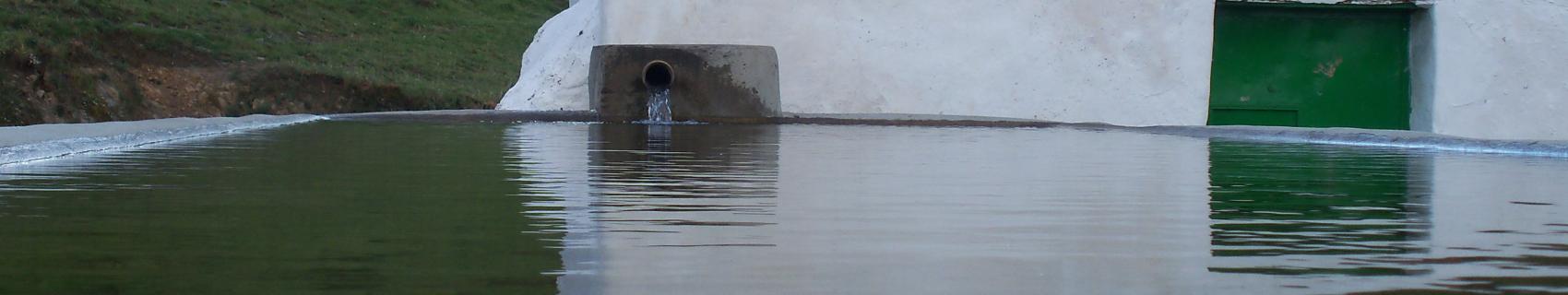 Fuente La Gavia o Medicinal