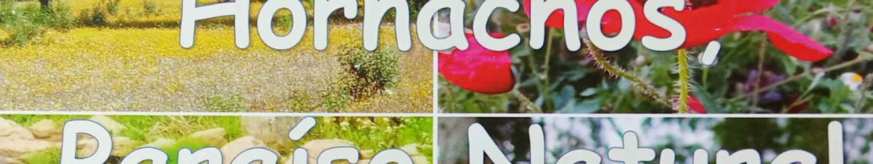 Presentación del libro "Hornachos, Paraíso Natural"