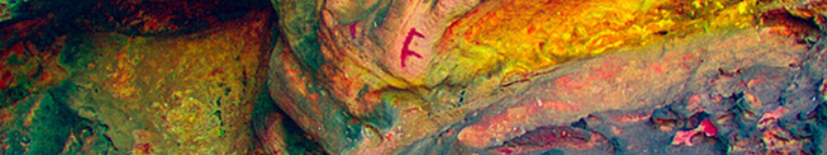 Pinturas Rupestres de La Panda