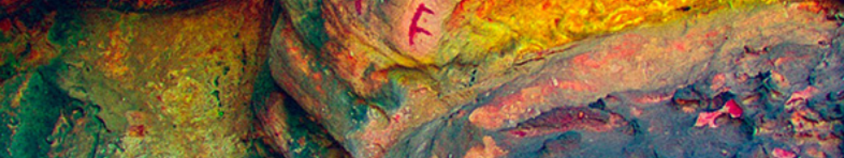 Pinturas de La Panda