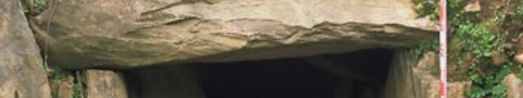 Castro del Cerro de la Barca