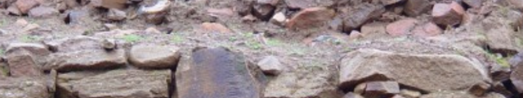 Yacimiento Arqueológico Los Castillejos