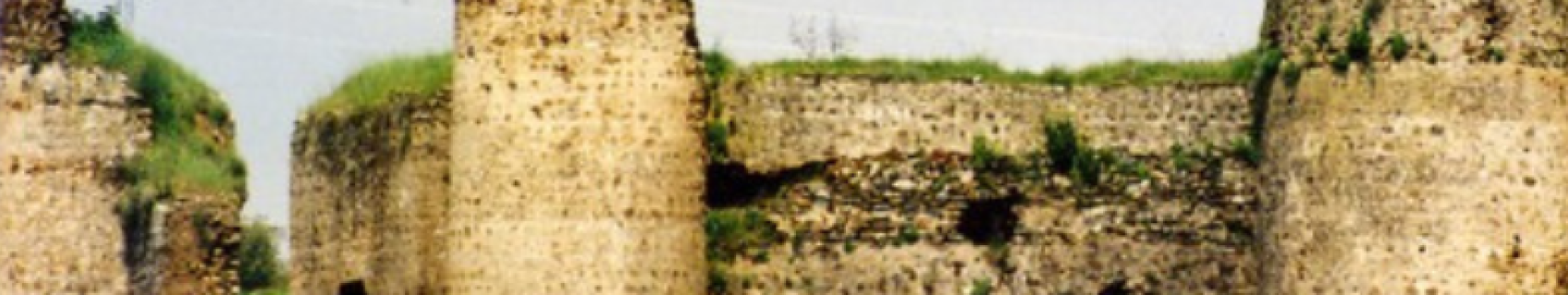 Castillo de las Torres