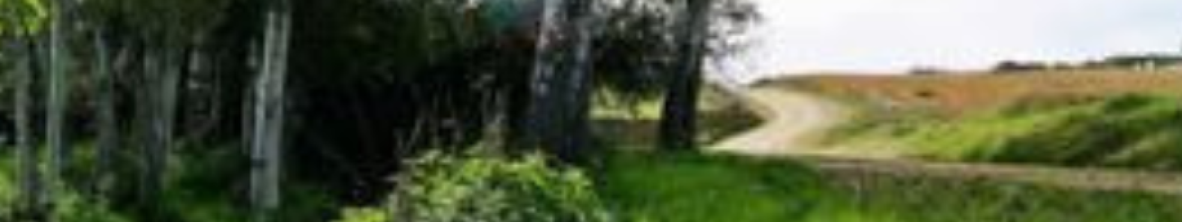 Cañada Real Soriana y Charco Hondo