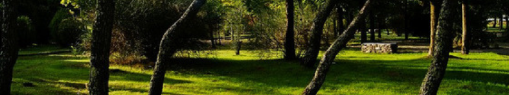 Parque de los Llanos de Sta María