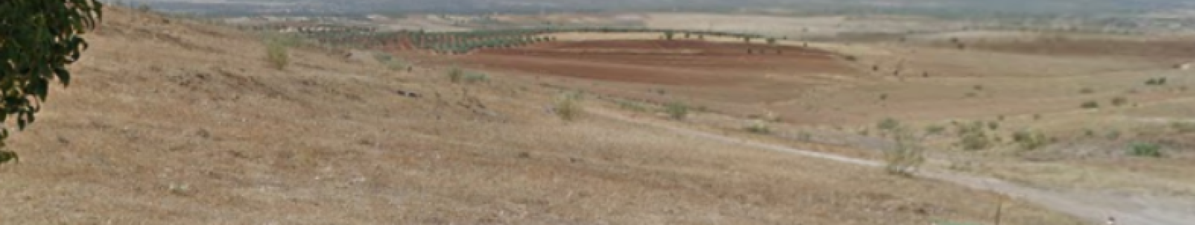 Avda. Constitución 54 