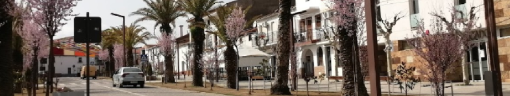 Avenida de Las Palmeras