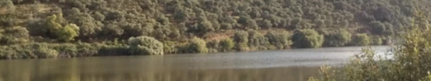 Embalse De Guadalemar