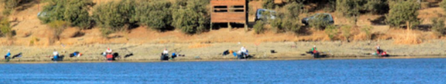 Observatorio de Aves