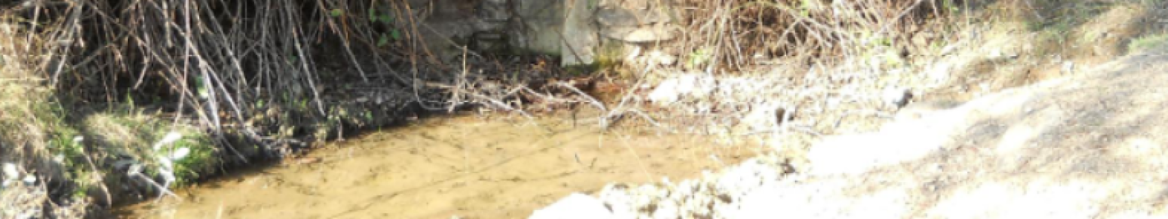 Fuente de la Serafina