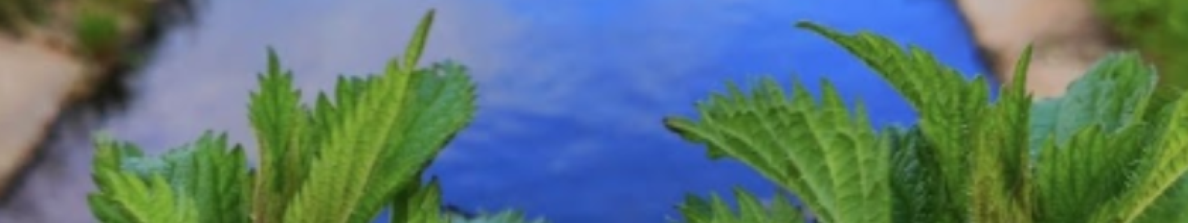 Fuente de Juan Durán