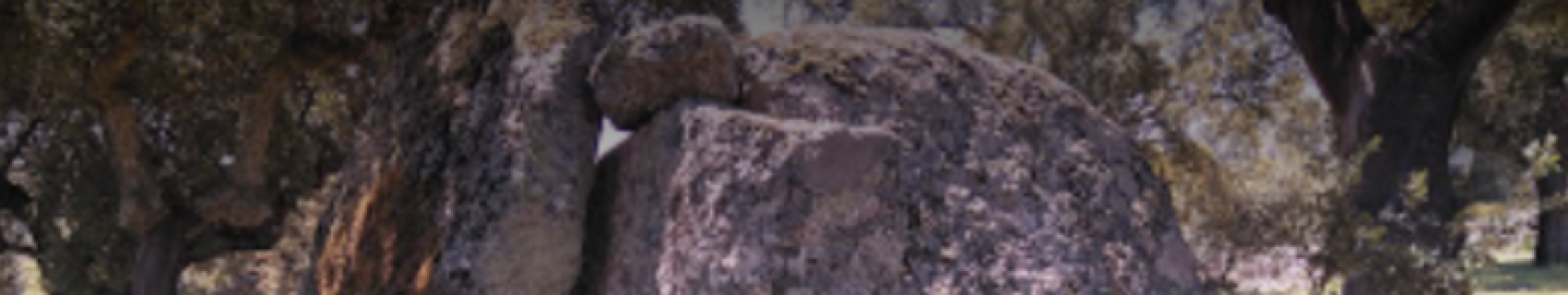 Dolmen El Alcornocón