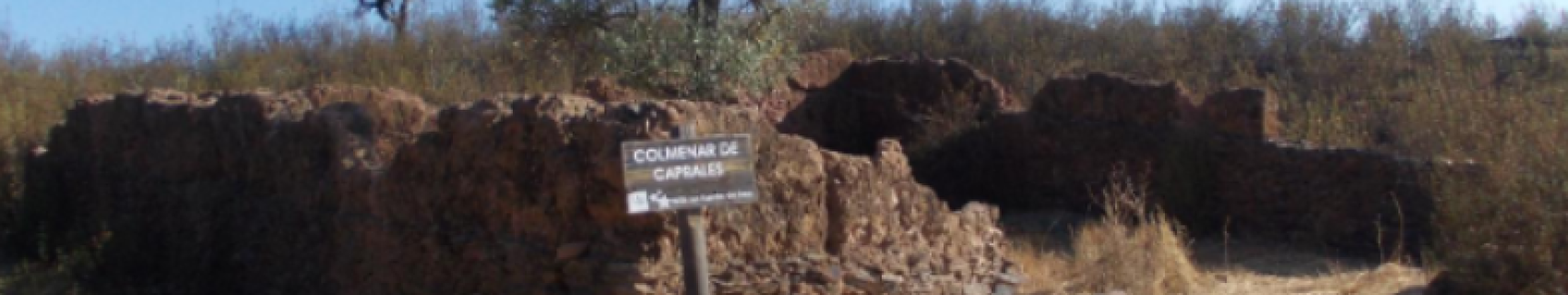 Colmenar de Caprales