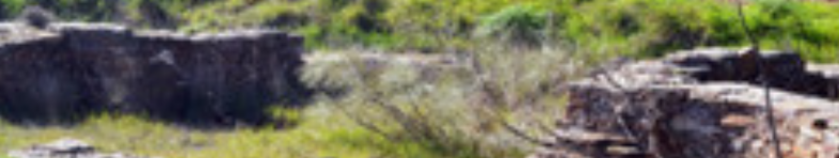 Complejo Termal De La Nava