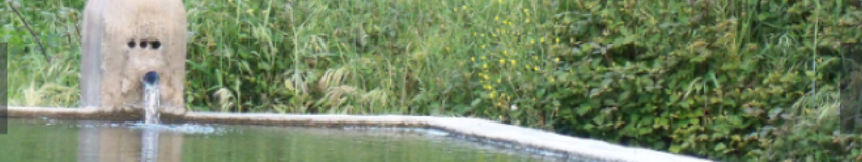 Fuente El Borbollón