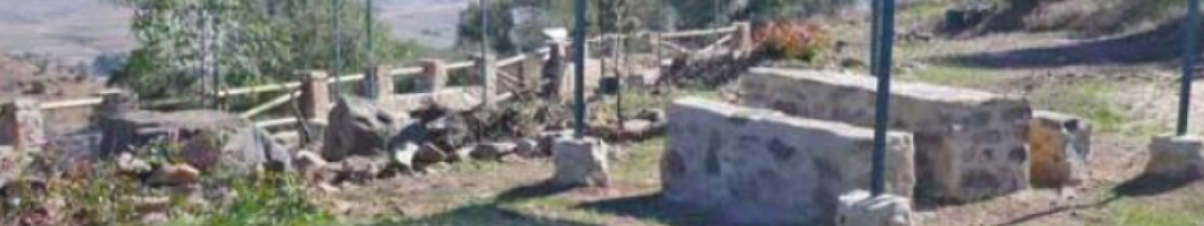 Observatorio Faunístico