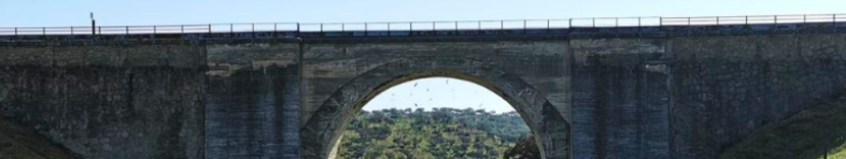 Puente del Río Bodión