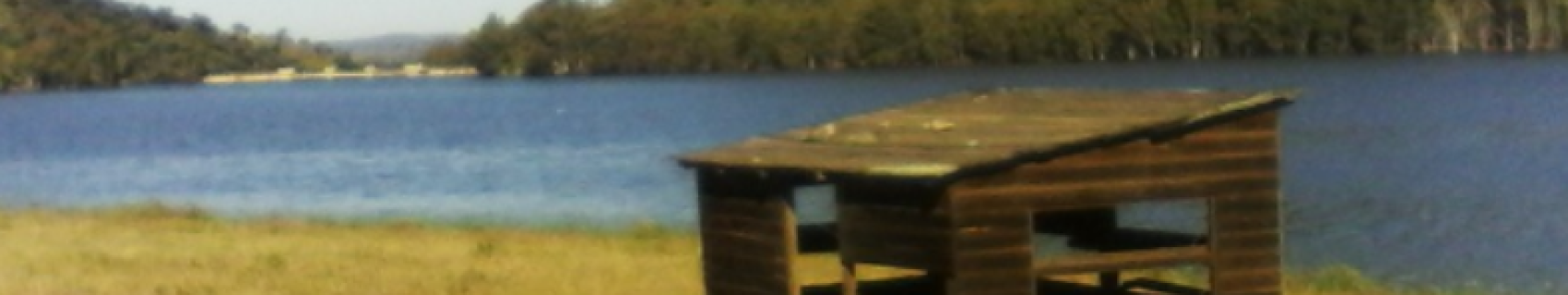 Observatorio Faunístico