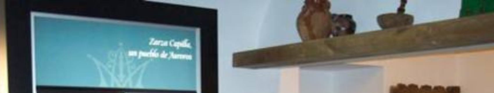 Museo de los Auroros