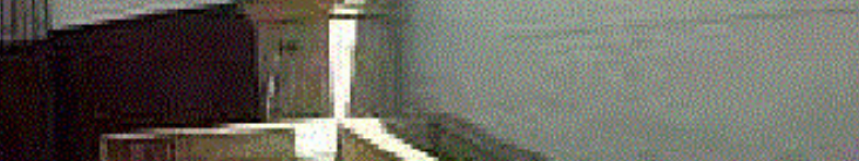 Fuente de la Constitución