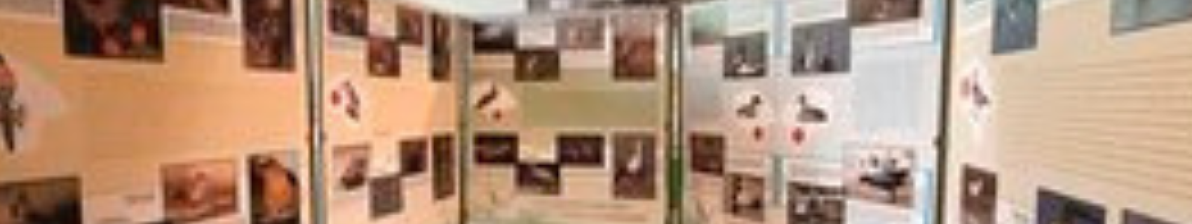 Centro de Interpretación