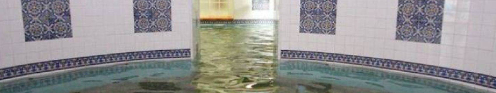 Temas y Castillo de Alange