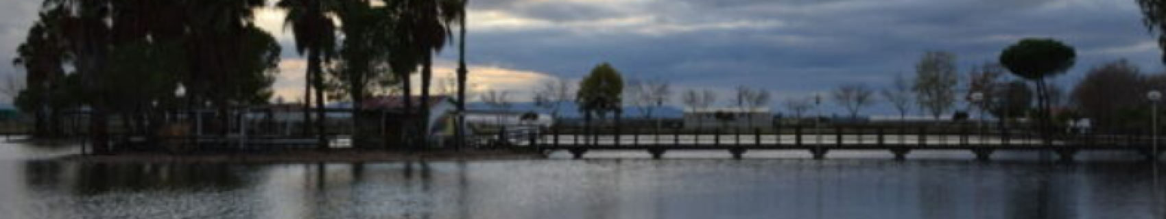 Charca El Voluntario