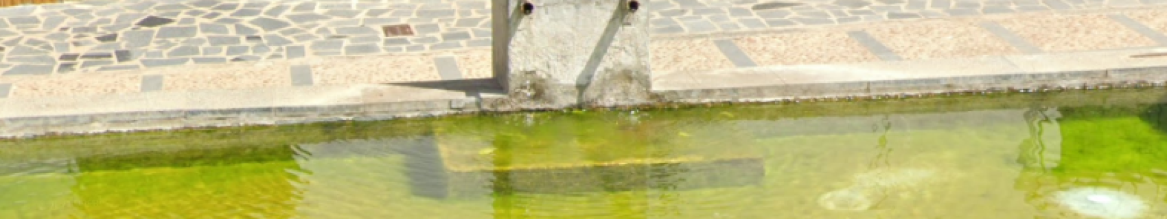Fuente del Carmen