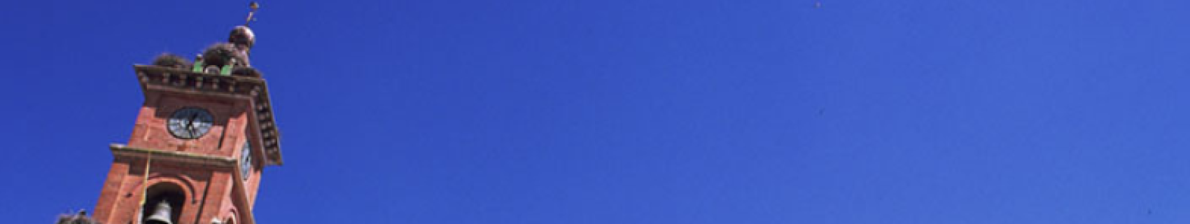 Parroquia Ntra Sra De Los Milagros