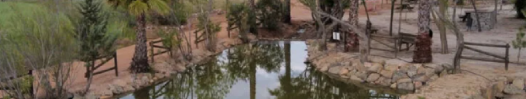 Zona de Ocio "El Estanque"