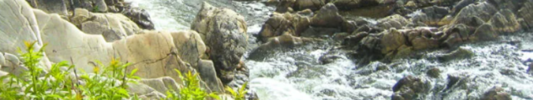 Zona de Ocio "Los Pilones"