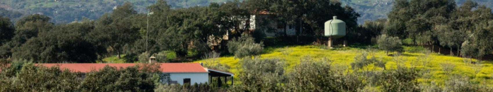 Mirador Turístico de Villalba de los Barros a Salvatierra de los Barros