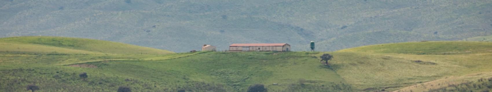 Mirador Turístico de Sancti-Spiritus a Garlitos