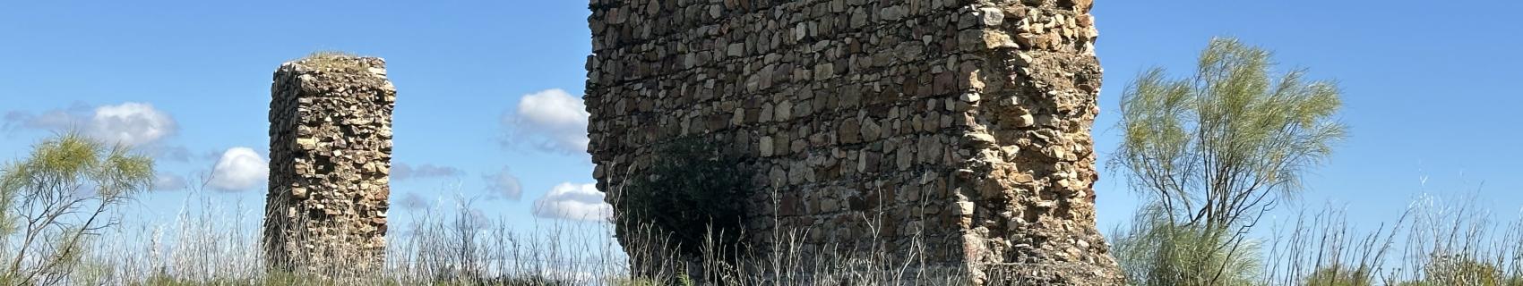Restos de los Paredones de La Cava