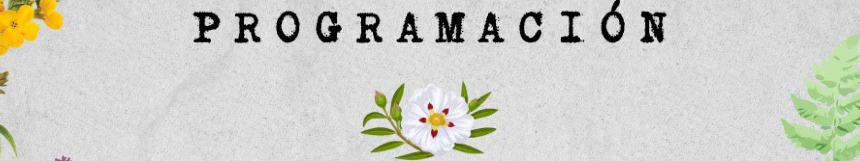 Programa
