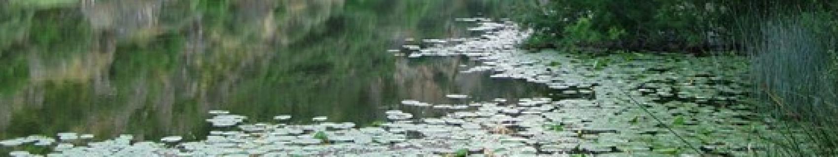 Imagen de las Hoces del Guadiana