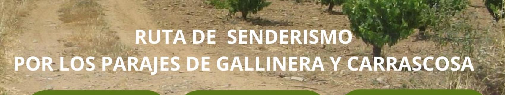 ruta de senderismo