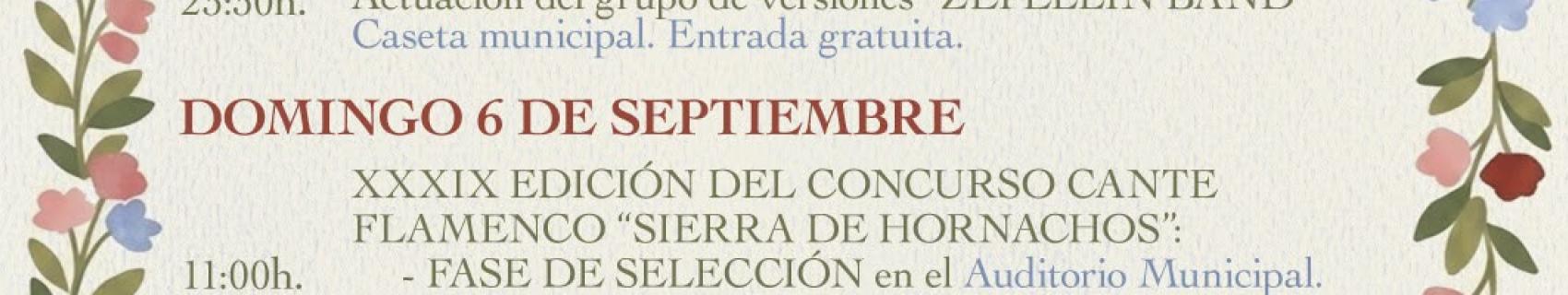 Programa de Feria y Fiestas Patronales en honor a la Virgen de los Remedios