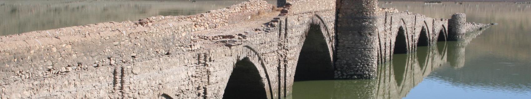Puente de la Mesta
