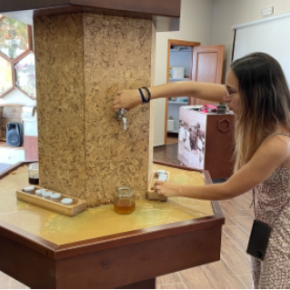 Museo de la Miel: apicultura en el pueblo más dulce de España